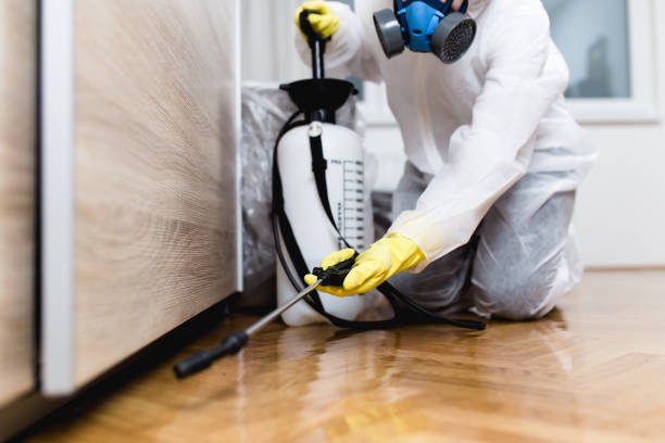 Best Pest Control Near Me in Williamsville, NY