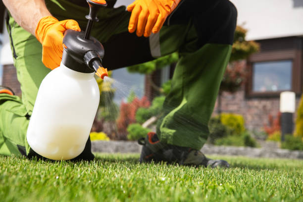 Best Residential Pest Control  in Williamsville, NY