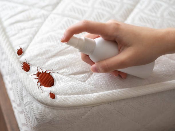 Best Commercial Pest Control Services  in Williamsville, NY