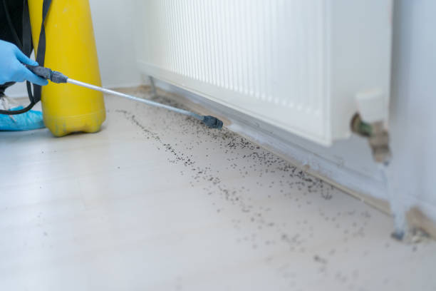 Best Insect Control  in Williamsville, NY