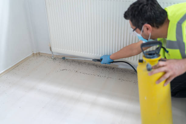Best Ant Control Services  in Williamsville, NY
