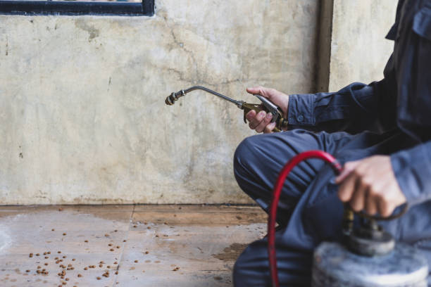 Best Local Pest Control Services  in Williamsville, NY